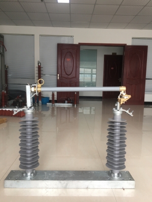 double column  cutout fuse